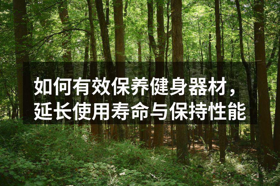 如何有效保养健身器材，延长使用寿命与保持性能