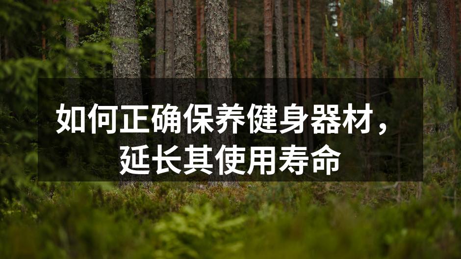 如何正确保养健身器材，延长其使用寿命